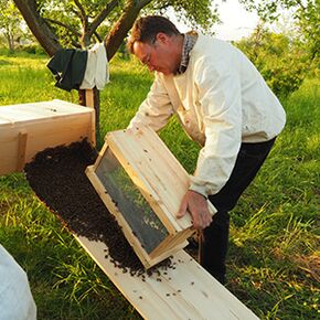 Hubertus Röllecke beim Schwarmeinzug in Obertraegerbeute
