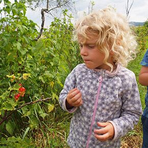Juni 2023 Kita-Kinder erkunden den Garten