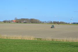 Trecker auf Feld zur Saatbereitung