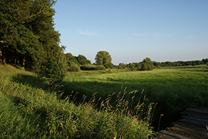 Landschaft in der Delmeniederung